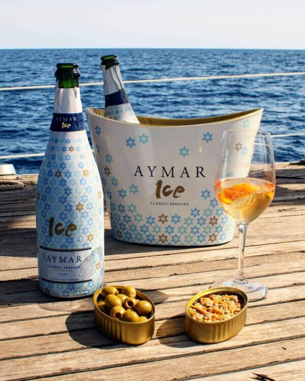Aymar ICE presentación