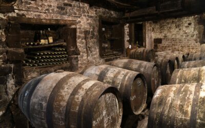 Vinos de Guarda: Un Viaje al Mundo del Vino que Perdura